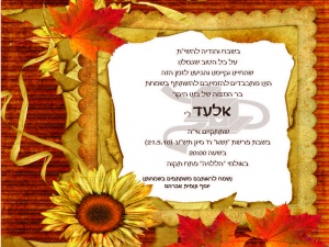הזמנה (19)-01