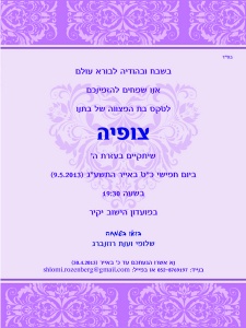 הזמנה (216)-01