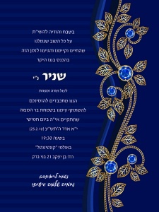 הזמנה (229)-01