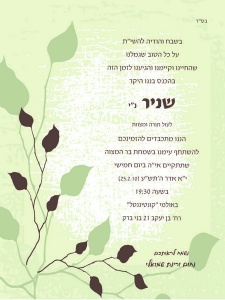 הזמנה (233)-01