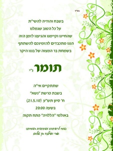 הזמנה (262)-01