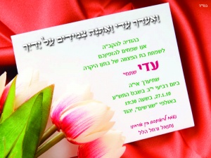 הזמנה (264)-01