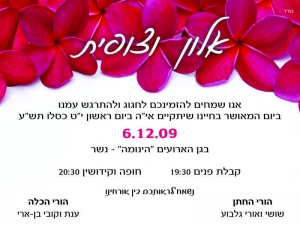 הזמנה (272)-01