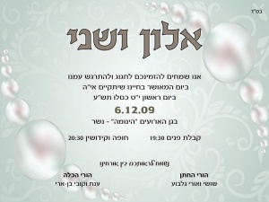 הזמנה (281)-01