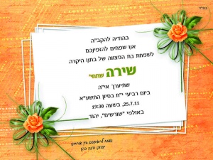 הזמנה (300)-01