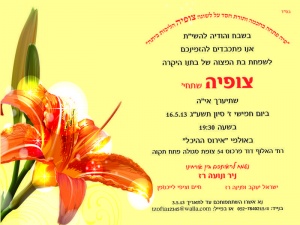 הזמנה (302)-01