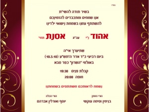 הזמנה (377)-01
