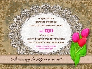 הזמנה (384)-01