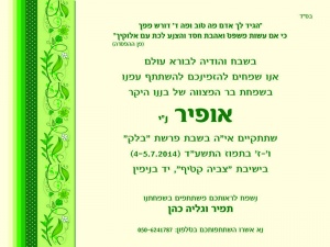 הזמנה (519)-01
