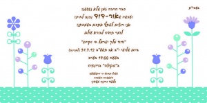 הזמנה (528)-01