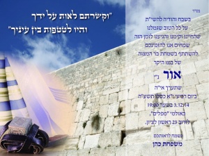 הזמנה (552)-01