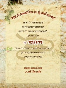 הזמנה (577)-01