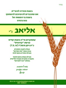 הזמנה (587)-01