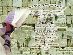 הזמנה (598)-01