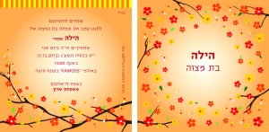 הזמנה (713)-03