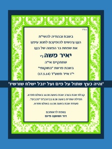 הזמנה (768)-01