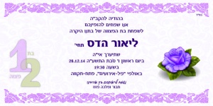 הזמנה (838)-01