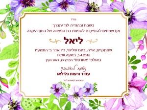 הזמנה (843)-01