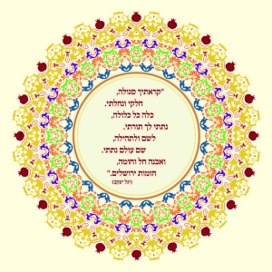 הזמנה (917)-01