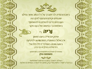 הזמנה (971)-01